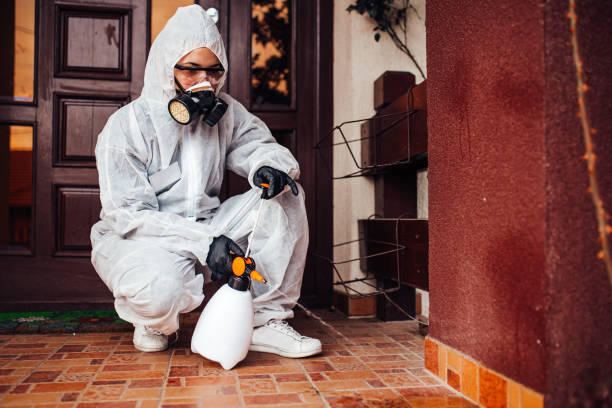 Reliable Cockroach Control contractor in Fort Sumner, NM by Nex Pest Control