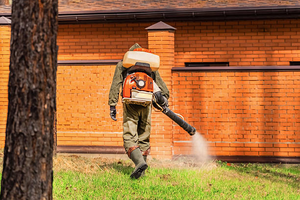Trusted Rodent Control service in Fort Sumner, NM - Nex Pest Control